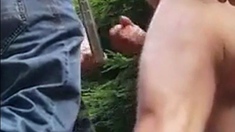 Three Daddies Stroking in the Woods