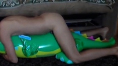 Big inflatable alligator humping cum