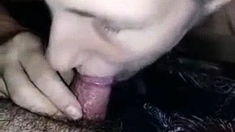 Sexy Amateur Sarah Sucks Fat Cock In POV